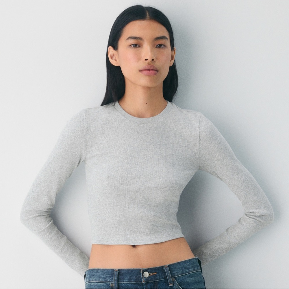 Aritzia TNA Home Stretch Rib Crew Cropped Long Sleeve Heather Grey Top 2XS